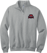 Philadelphia Resistance NuBlend 1/4-Zip Cadet Collar Sweatshirt