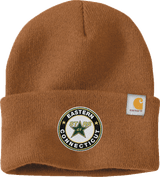 CT ECHO Stars Carhartt Watch Cap 2.0