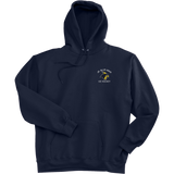 Delaware Jr. Blue Hens Super Heavyweight Fleece Hoodie