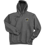 Delaware Jr. Blue Hens Super Heavyweight Fleece Hoodie